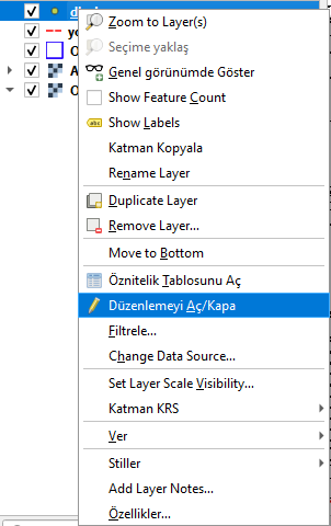 Düzenlemeyi Aç