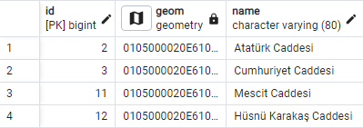 Verilerin Görüntülenmesi