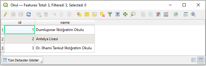Tablo Görüntüleme
