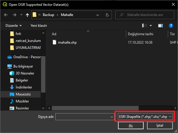 Dosya ve Format Seçimi